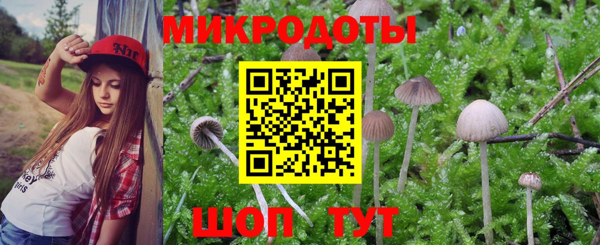 Орск  Галлюциногенные грибы прущие грибы  купить   Вход с VPN 